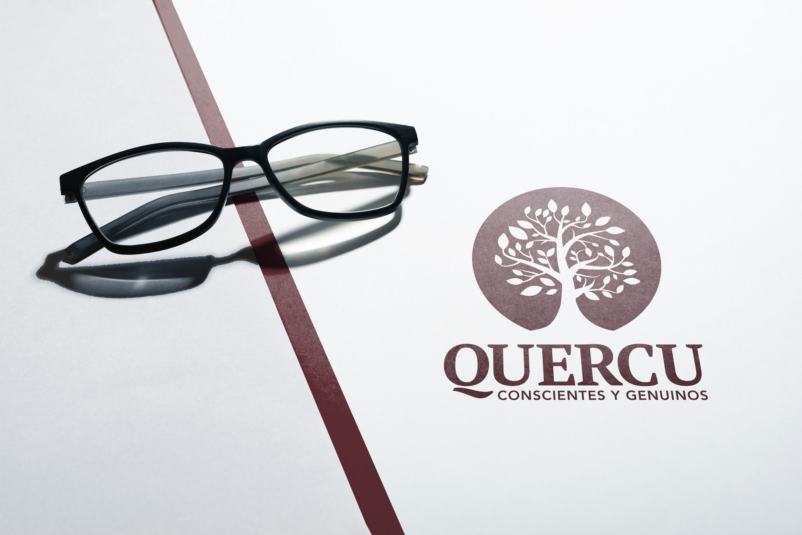 Rediseño Quercu · Branding · Nueva Identidad visual